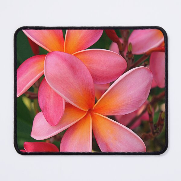 Item preview, Pink Plumerias Tropical Island Flowers Art Photo designed and sold by DEC02.
