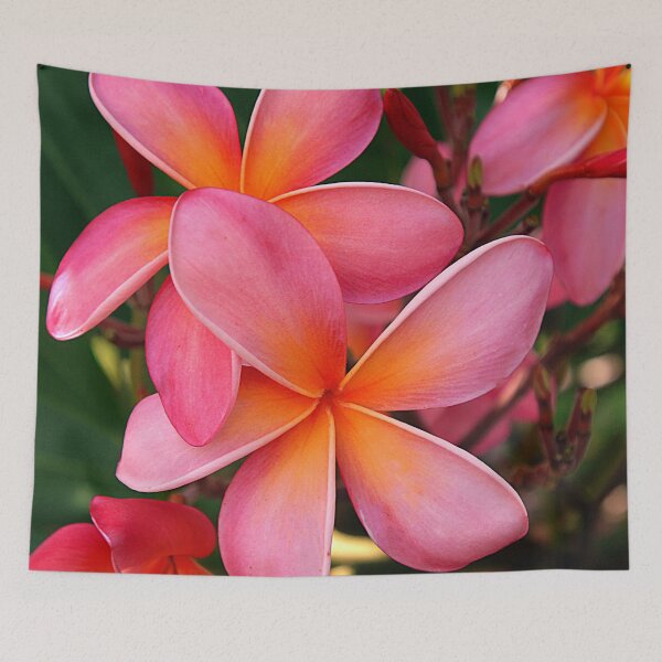 Item preview, Pink Plumerias Tropical Island Flowers Art Photo designed and sold by DEC02.