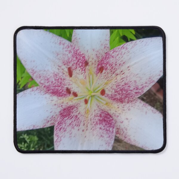 Item preview, Blossom of the Stargazer Lily designed and sold by PEACELOVERSART.