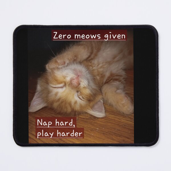 Item preview, Zero Meows Given – Sleepy Kitten Photograph designed and sold by PEACELOVERSART.
