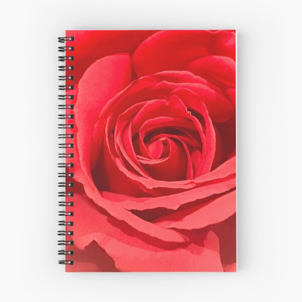 Item preview, Elegant Pink-Red Rose Luxurious Artistic Photo Close-Up designed and sold by DEC02.