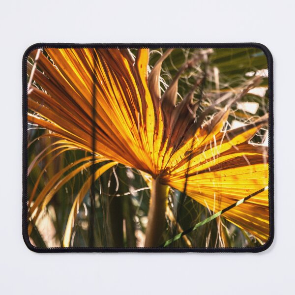 Item preview, Exquisite Yellow-Orange Palm Leaf In Remote Rainforest designed and sold by DEC02.