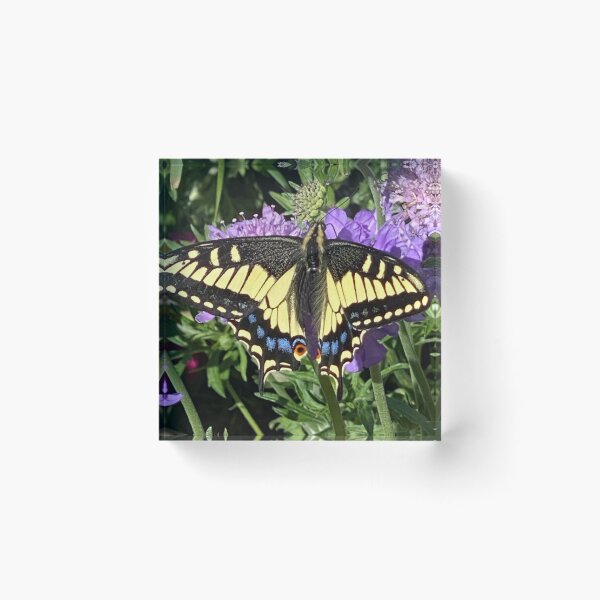 Item preview, Yellow Monarch Butterfly  designed and sold by Kandoart.