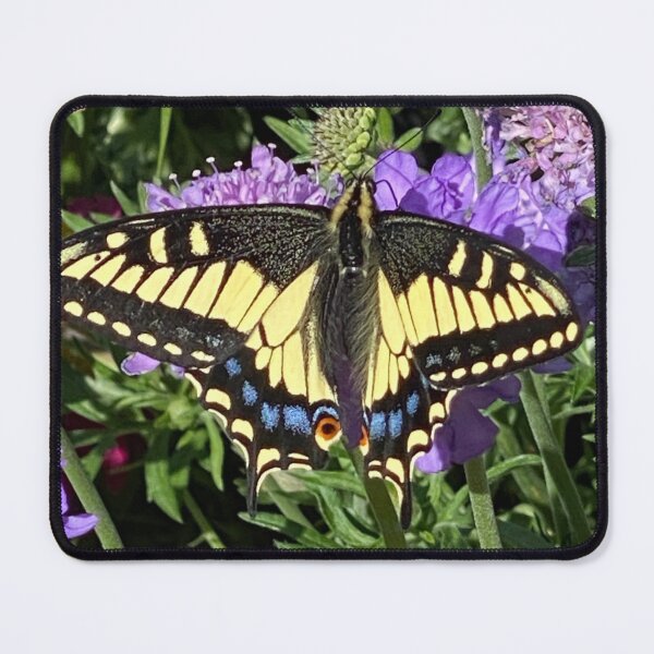Item preview, Yellow Monarch Butterfly designed and sold by Kandoart.