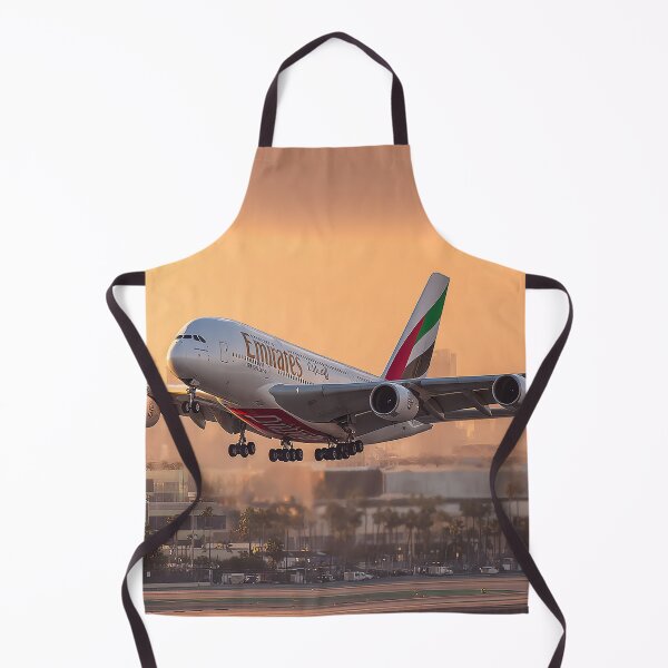 Artikelvorschau, Darstellung der Bausymmetrie des Emirates A380-Jets entworfen und verkauft von Skyframe Aviation.
