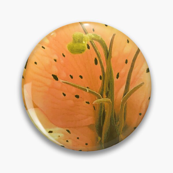 Item preview, Fine Art Yellow Star Lily Elegant Close-Up Photo  designed and sold by DEC02.