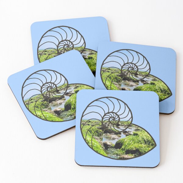 Item preview, Beach dream - Rockpool adventures on Nautilus seashell  designed and sold by OhNoNotAgain42.