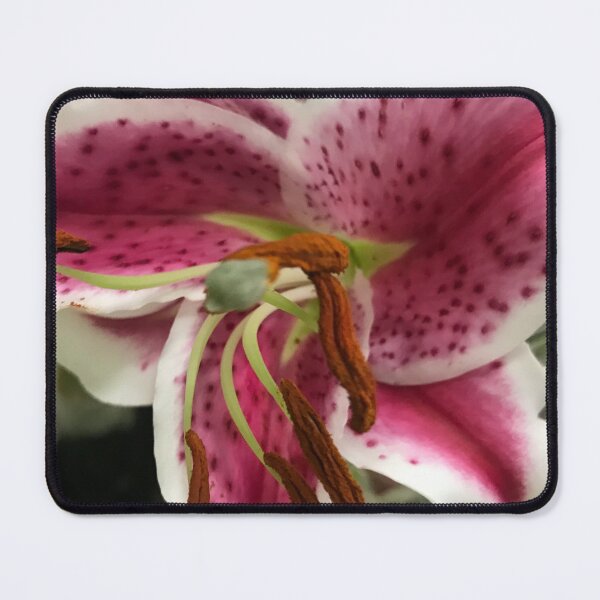 Item preview, Pink Magenta Stargazer Lily Chic Artistic Photography designed and sold by DEC02.