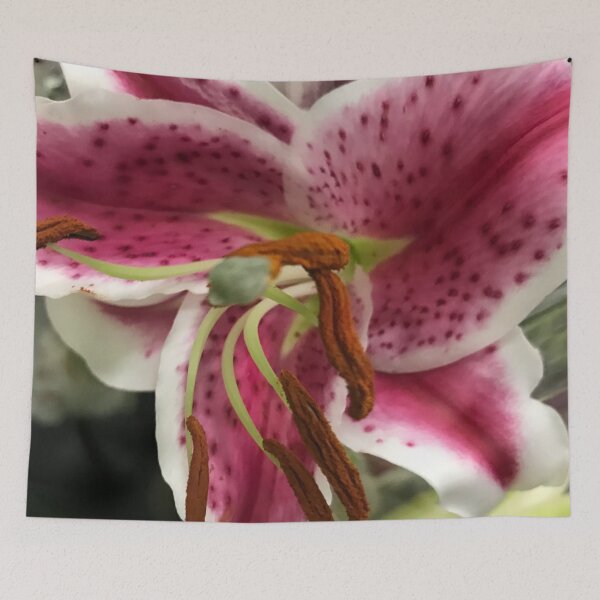Item preview, Pink Magenta Stargazer Lily Chic Artistic Photography designed and sold by DEC02.