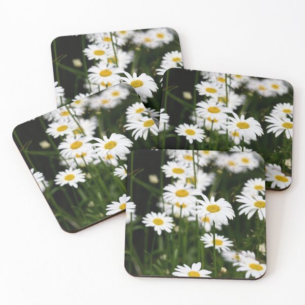 Item preview, Summerdays. Oxeye daisy designed and sold by Jouko Lehto Photography.
