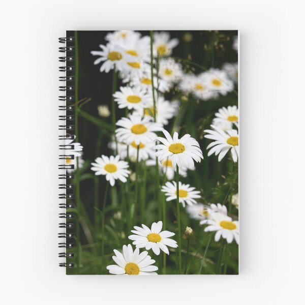 Item preview, Summerdays. Oxeye daisy designed and sold by Jouko Lehto Photography.
