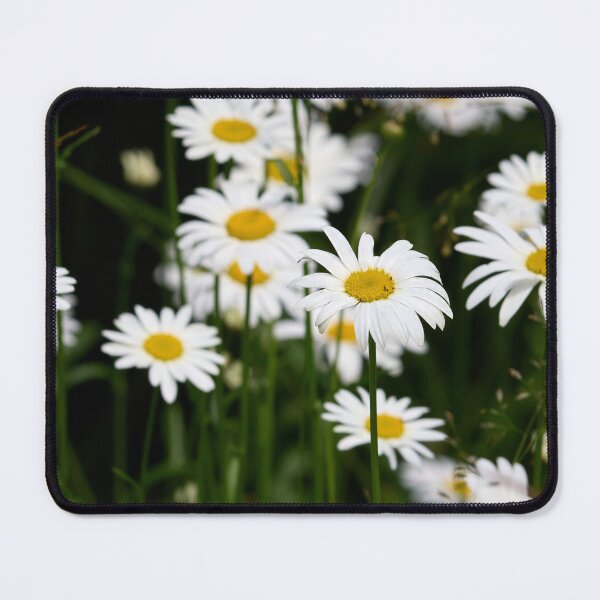 Item preview, Summerdays. Oxeye daisy designed and sold by Jouko Lehto Photography.