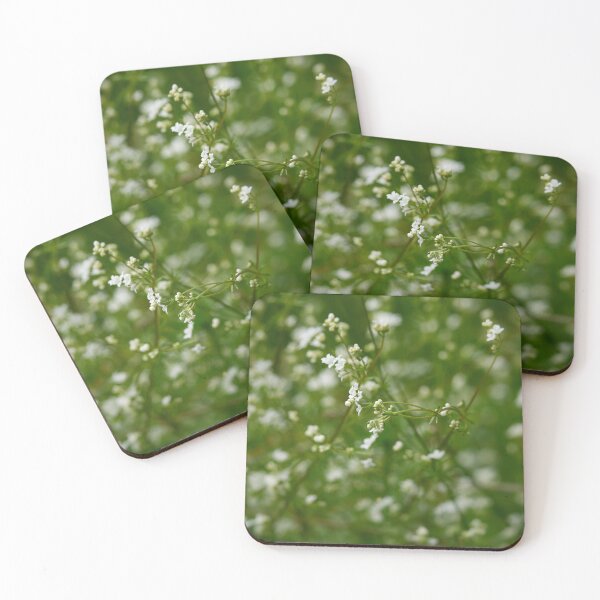 Item preview, Early days. Marsh Bedstraw designed and sold by Jouko Lehto Photography.