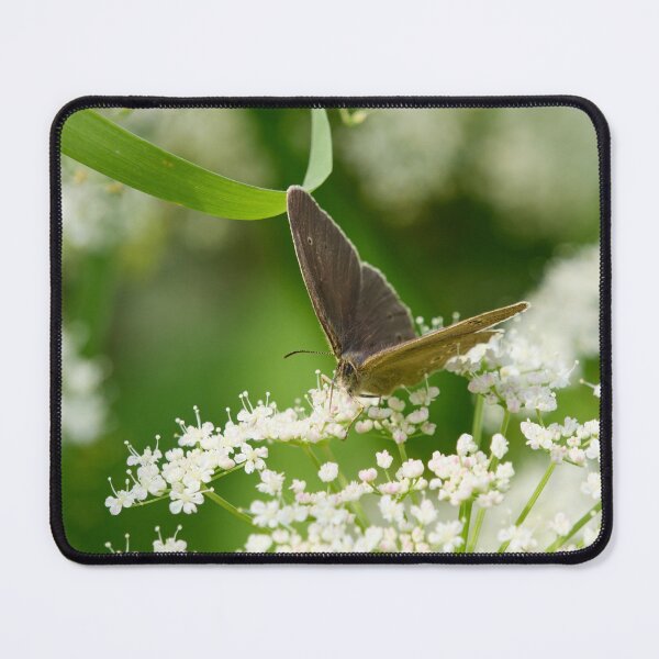 Item preview, Summer flowers and butterflies. Ringlet designed and sold by Jouko Lehto Photography.