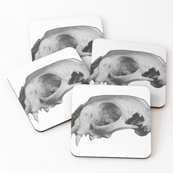 Item preview, cat skull designed and sold by seldom.