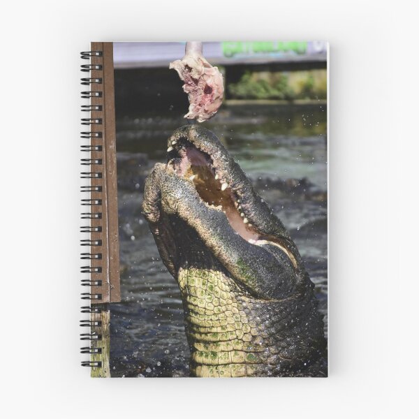 Item preview, Jumping Alligator Unedited designed and sold by MercerImages.