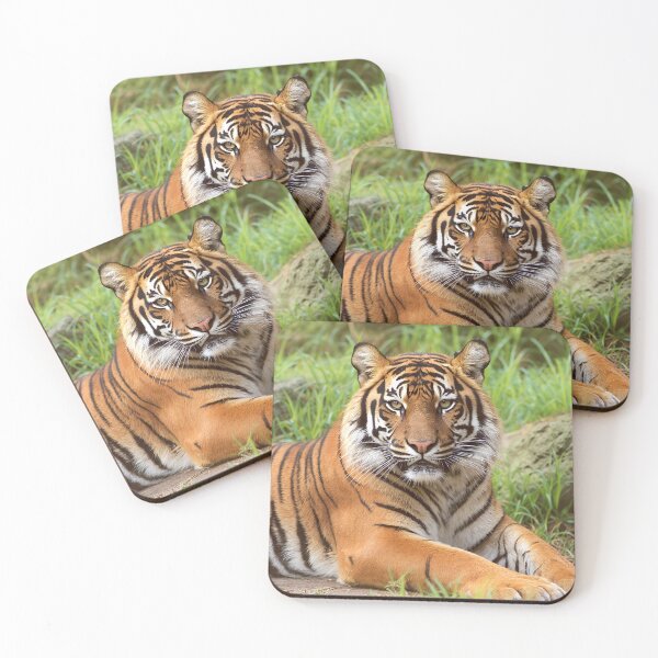 Item preview, tiger portrait designed and sold by pawprintz.