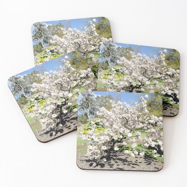 Item preview, Cherry blossom tree in full bloom in Cowra, Central West NSW designed and sold by AusTechanNature.