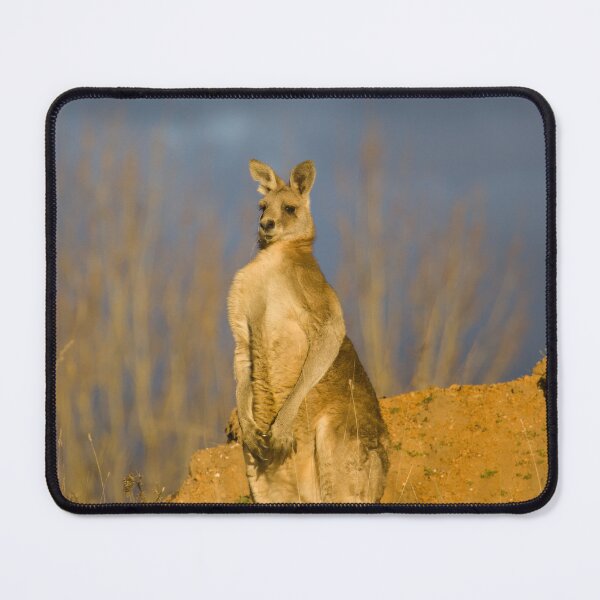 Item preview, Wild Kangaroo designed and sold by AusTechanNature.
