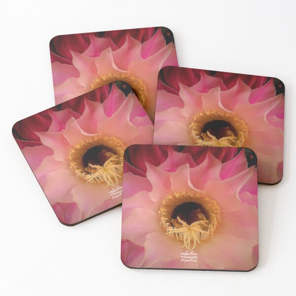 Item preview, Echinocactus flower photography designed and sold by ValentinaAssenza.