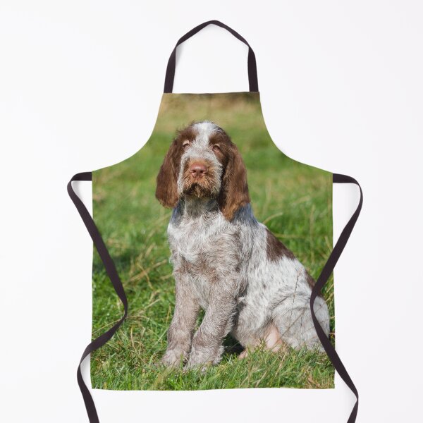 Item preview, Two Spinone Friends - Loyal Gundog Photography - by heidiannemorris © designed and sold by FOLK ART FUSION by heidiannemorris.