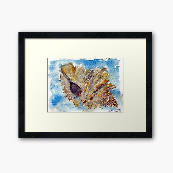 Shell Framed Art Print