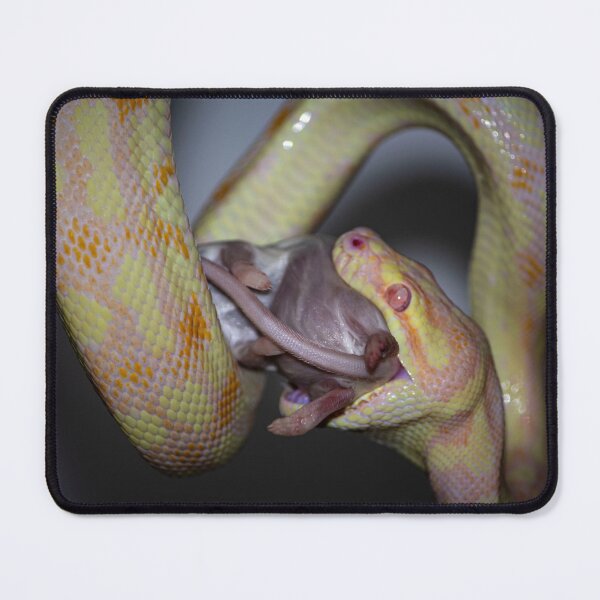 Item preview, Snake Eating Mouse designed and sold by exxpiiredd.