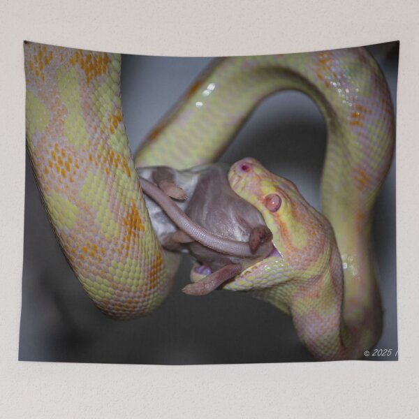 Item preview, Snake Eating Mouse designed and sold by exxpiiredd.