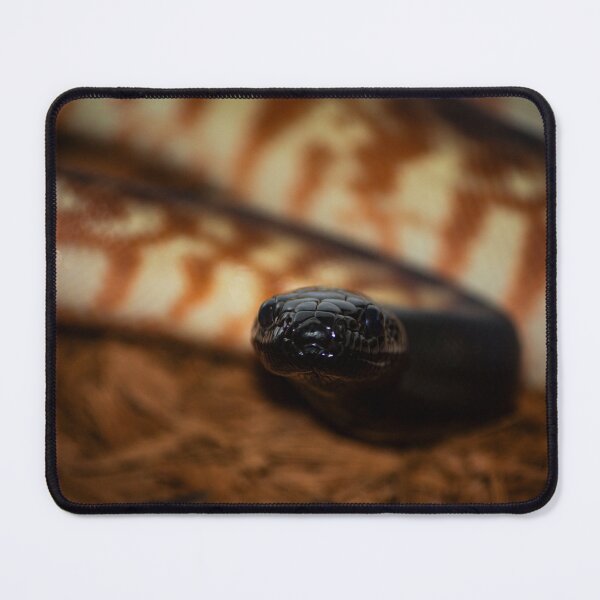 Item preview, The Black Headed Python designed and sold by exxpiiredd.