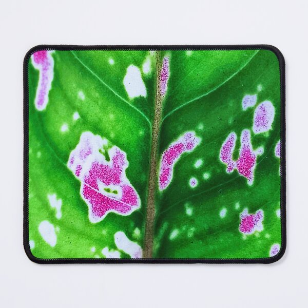 Item preview, Symphony of Colors in a Leaf! designed and sold by SheFriendly143.