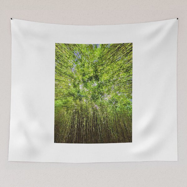 Item preview, Bamboo forest designed and sold by AntonyGRobinson.
