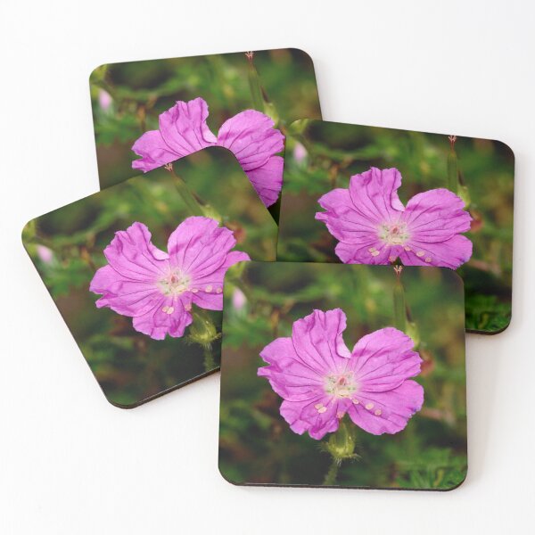 Item preview, Bloody geranium. Bloody crane's-bill designed and sold by Jouko Lehto Photography.
