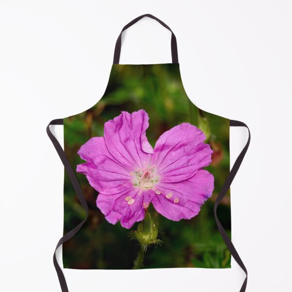Item preview, Bloody geranium. Bloody crane's-bill designed and sold by Jouko Lehto Photography.