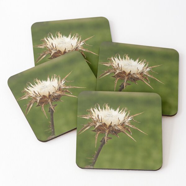Item preview, Thistle be drought. designed and sold by Paul Pasco.