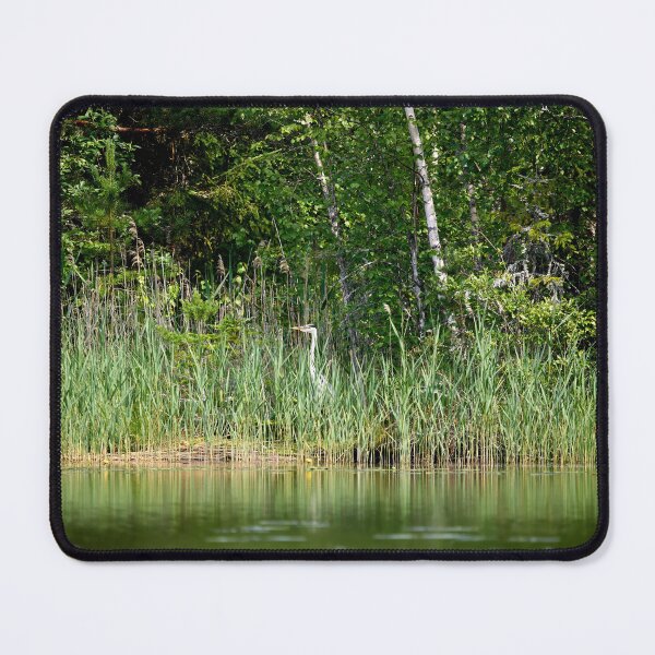 Item preview, Hiding. Grey heron 2025 designed and sold by Jouko Lehto Photography.