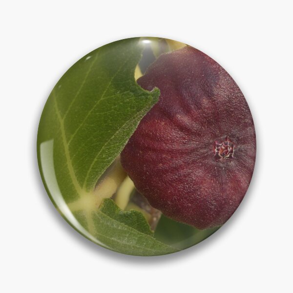 Item preview, Red fig? designed and sold by Paul Pasco.
