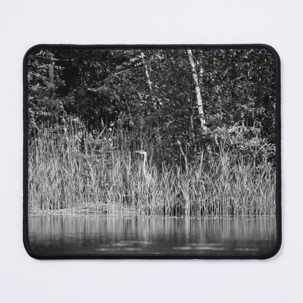 Item preview, Hiding. Grey heron bw 2025 designed and sold by Jouko Lehto Photography.