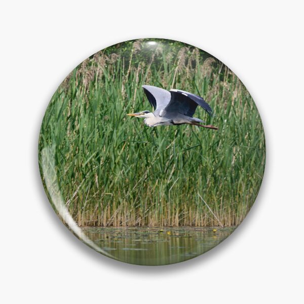 Item preview, Grey heron flyby designed and sold by Jouko Lehto Photography.