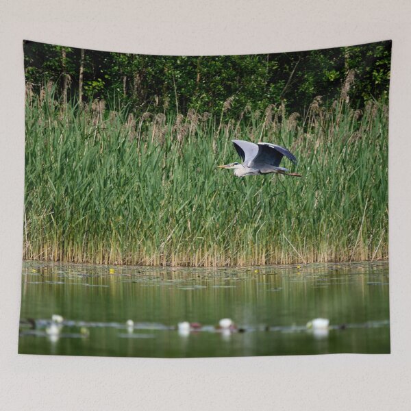 Item preview, Grey heron flyby designed and sold by Jouko Lehto Photography.