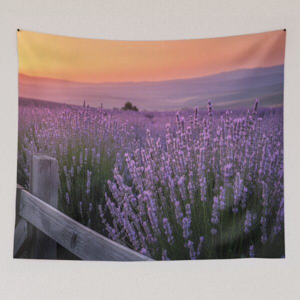 Item preview, Lifestyle Hub: Golden Sunset Over Lavender Fields designed and sold by M&M Lifestyle Hub.