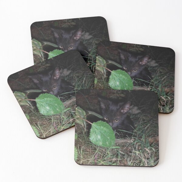 Item preview, Cute black kitten enjoying nature at night designed and sold by Aesth3ticDreams.