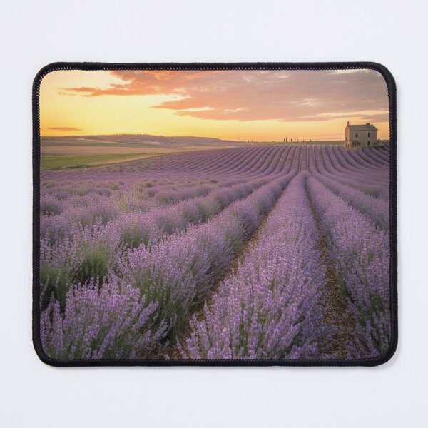 Item preview, Lifestyle Hub: Golden Sunset Over Lavender Fields designed and sold by M&M Lifestyle Hub.