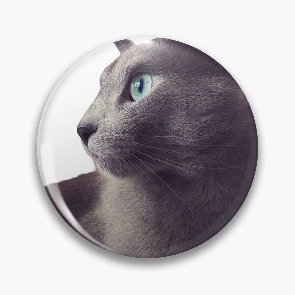 Item preview, Sleek Chic Unique – Elegant Russian Blue Cat Sticker designed and sold by SilverBlueCat.