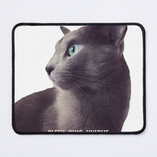 Item preview, Sleek Chic Unique – Elegant Russian Blue Cat Sticker designed and sold by SilverBlueCat.
