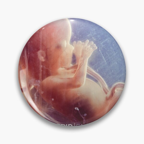Item preview, MoTrip - Embryo album 2012 designed and sold by CindyDaviseno.