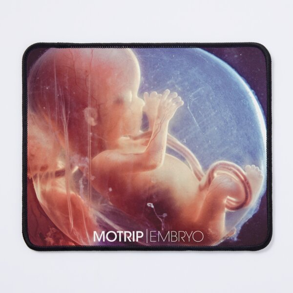 Artikelvorschau, MoTrip - Embryo-Album 2012 entworfen und verkauft von CindyDaviseno.