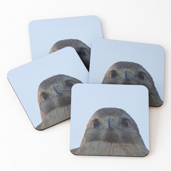 Item preview, Hawk Eye Photography by H LaBs Creations © designed and sold by H LaBs Creations.