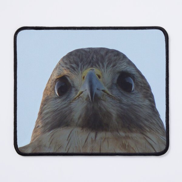 Item preview, Hawk Eye Photography by H LaBs Creations © designed and sold by H LaBs Creations.