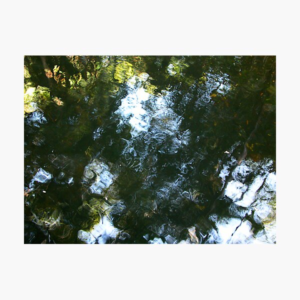 'Monet' in water Photographic Print