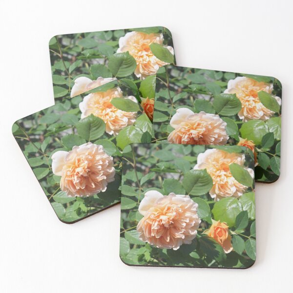 Item preview, Peaches and Cream Roses designed and sold by MalloryWillow.